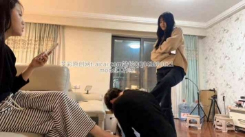 model-双木王的鞋底清理器第一部